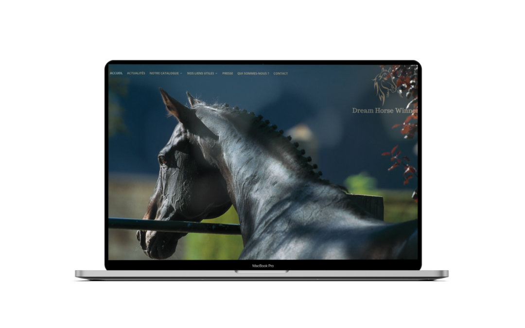 Création du site internet de Dream Horse Winner